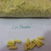 Xanax 2mg (White & Yellow)